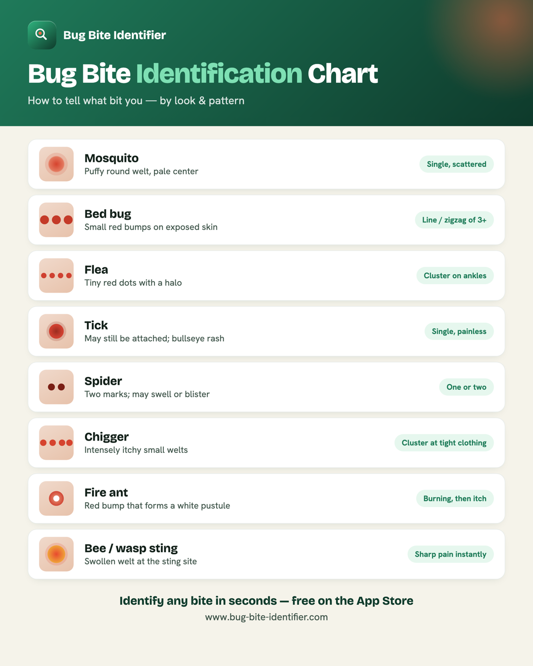 Bug bite identification chart comparing mosquito, bed bug, flea, tick, spider, chigger, fire ant, and bee or wasp bites by look and pattern