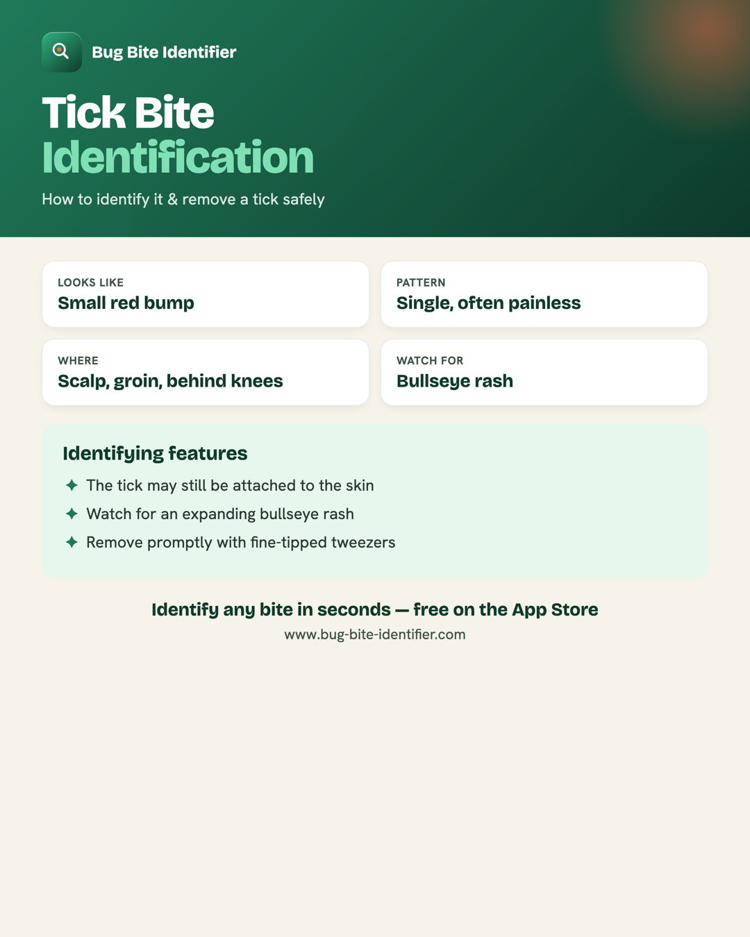 Tick bite identification infographic — a single painless red bump, the tick may still be attached, watch for an expanding bullseye rash